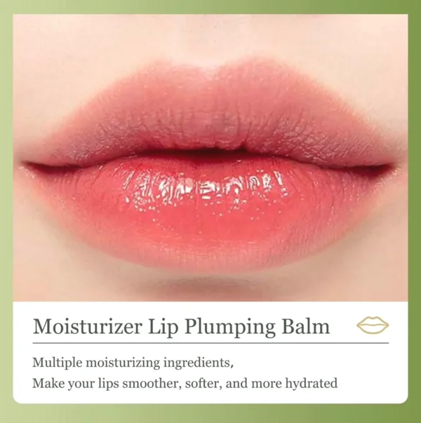 Avocado-based Lip Balm, Hydration for Dry Crack Lips