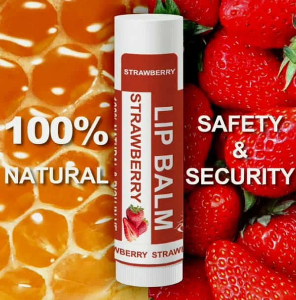 Bulk Set Natural Lip Balm with Vitamin E and Coconut Oil