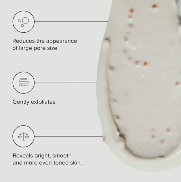 Gourd Enzyme Face Mask with Jojoba Spheres