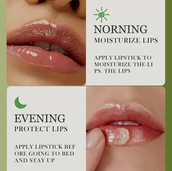 Avocado-based Lip Balm, Hydration for Dry Crack Lips