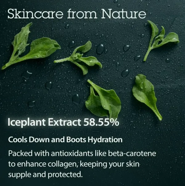 BLITHE's Hydrating Serum Crystal Iceplant Face Moisturizer - Best Kbeauty Product